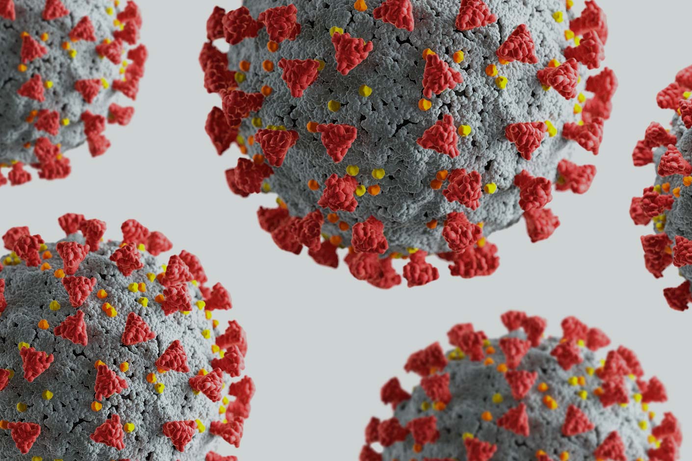 Coronapandemie als globales Gesundheitsrisiko im Funk Global Risk Consensus